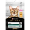 Adult Renal Plus - Riche En Poulet Et En Riz 3kg - Pro Plan 1 Adult Renal Plus - Riche En Poulet Et En Riz 3kg - Pro Plan -Poulet Boutique adult renal plus riche en poulet et en riz 3kg pro plan 12398591 purina adult renal plus riche en poulet et en riz 3kg pro plan