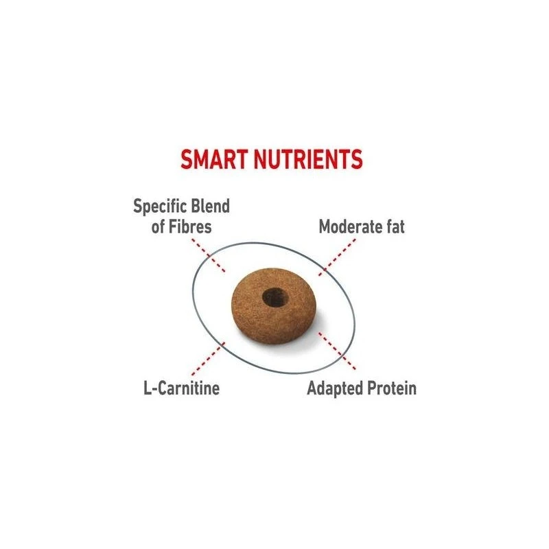 Appetite Control Care 10kg - Royal Canin 4 Appetite Control Care 10kg - Royal Canin – Image 2