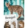 Bengal Comportements, Soins, Socialisation - Florence DESACHY & Phillippe ROCHER -Poulet Boutique bengal comportements soins socialisation florence desachy phillippe rocher 9221040 ulmer bengalcomportements soins socialisation
