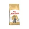 British Shorthair Adult 10kg - Royal Canin