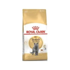 British Shorthair Adult 10kg - Royal Canin