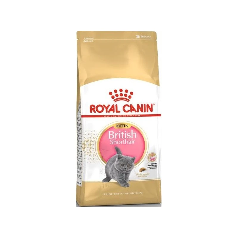 British Shorthair Kitten 10kg - Royal Canin 3 British Shorthair Kitten 10kg - Royal Canin