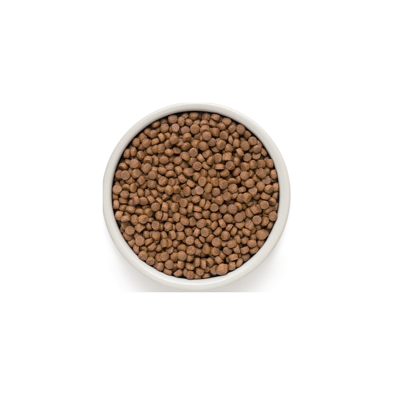 Chat Sterilized - 4 Viandes 2kg - Grandorf 4 Chat Sterilized - 4 Viandes 2kg - Grandorf – Image 2