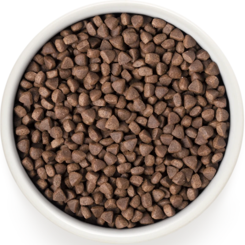 Chat Sterilized - Dinde 2kg - Grandorf 4 Chat Sterilized - Dinde 2kg - Grandorf – Image 2