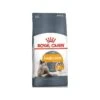Hair And Skin Care 10kg - Royal Canin 1 Hair And Skin Care 10kg - Royal Canin -Poulet Boutique hair and skin care 10kg royal canin 1250255 royal canin aliment complet et equilibre pour chats adultes recommande pour soutenir