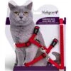 Harnais+Laisse Grand Chat Rouge 34/57cm+120cm - Vadigran -Poulet Boutique harnais laisse grand chat rouge 34 57cm 120cm vadigran 16605 vadigran harnais laisse grand chat rouge 34 57cm 120cm vadigran