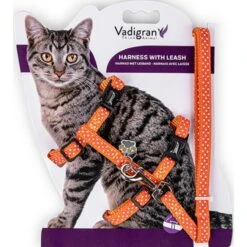 Harnais+Laisse Pois Orange 15-22/30-32cm+120cm - Vadigran