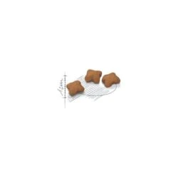 Kitten Sterilised 3,5kg - Royal Canin 5 Kitten Sterilised 3,5kg - Royal Canin -Poulet Boutique kitten sterilised 35kg royal canin 1253105 royal canin aliment complet et equilibre pour chats special chatons sterilises de 6 a 1