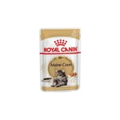 Maine Coon 12x85gr - Royal Canin