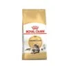 Maine Coon Adult 2kg - Royal Canin 1 Maine Coon Adult 2kg - Royal Canin -Poulet Boutique maine coon adult 2kg royal canin 1250803 royal canin aliment complet et equilibre pour chats special chats adultes maine coon a