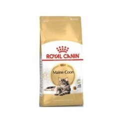 Maine Coon Adult 2kg - Royal Canin