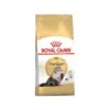 Persian Adult 4kg - Royal Canin 1 Persian Adult 4kg - Royal Canin -Poulet Boutique persian adult 4kg royal canin 1250886 royal canin aliment complet et equilibre pour chats special chats adultes persans a partir