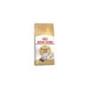 Ragdoll 2kg - Royal Canin
