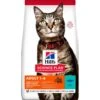 Science Plan Aliment Pour Chat Adulte Au Thon 3kg - Hill's -Poulet Boutique science plan aliment pour chat adulte au thon 3kg hills 604075 hills science plan aliment pour chat adulte au thon hillsles croq