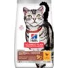 Science Plan Aliment Pour Chat Adulte Hairball Indoor Poulet 1,5kg - Hill's -Poulet Boutique science plan aliment pour chat adulte hairball indoor poulet 15kg hills 604139 hills science plan aliment pour chat adulte hairb