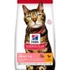 Science Plan Aliment Pour Chat Adulte Light Poulet 1,5kg - Hill's -Poulet Boutique science plan aliment pour chat adulte light poulet 15kg hills 604080 hills science plan aliment pour chat adulte light poulet hi